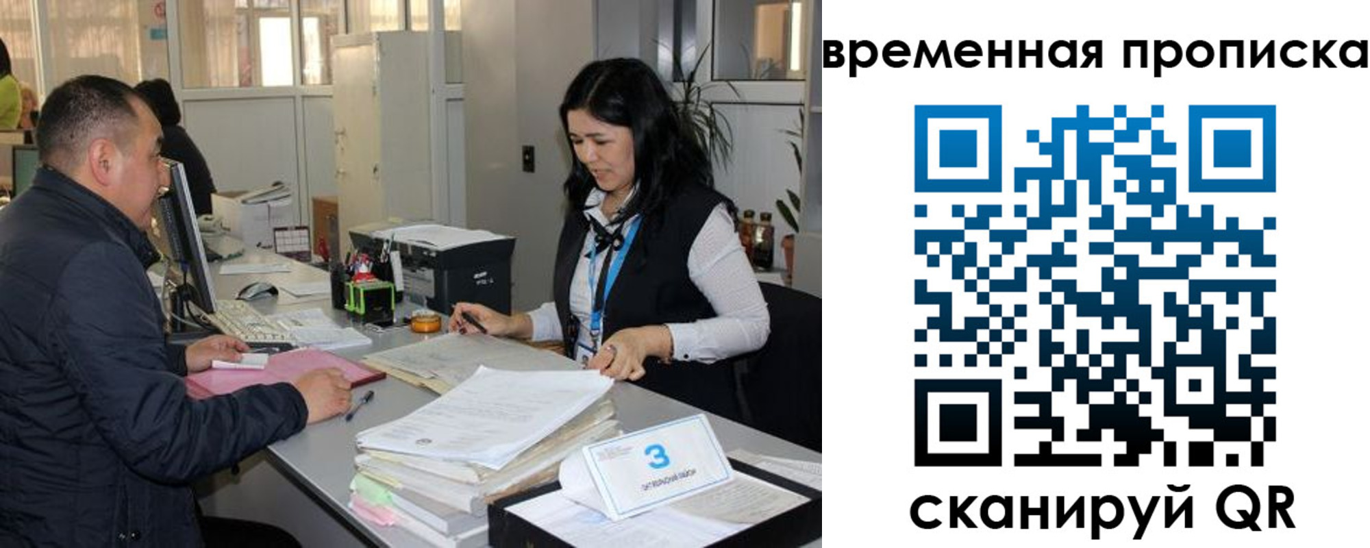 временная регистрация поиск в Мурманской области