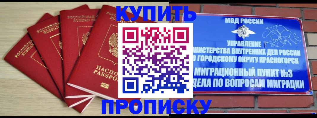 временная регистрация для всех в Мурманской области